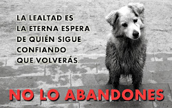 No lo abandones...