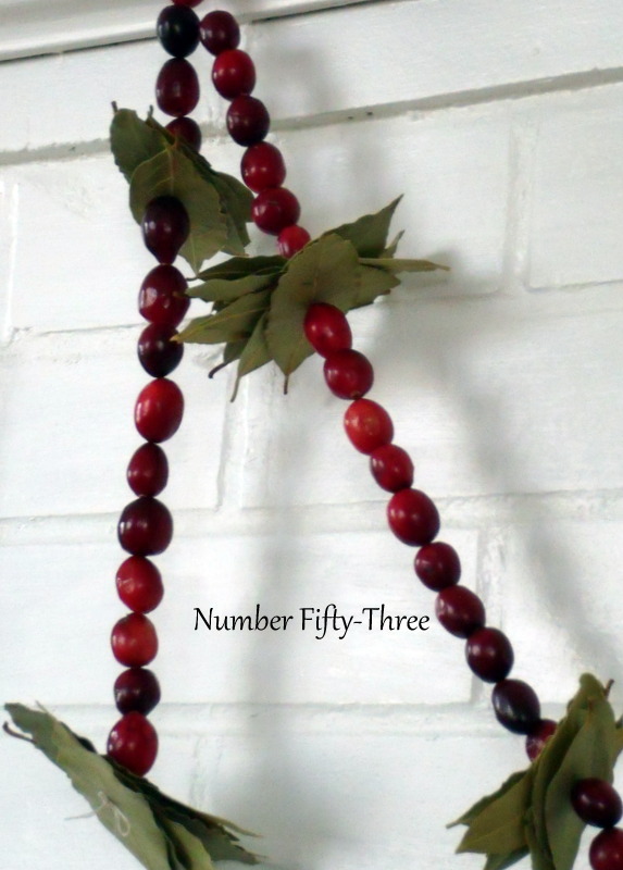 Number Fifty-Three: DIY Cranberry & Bay Leaf Garland