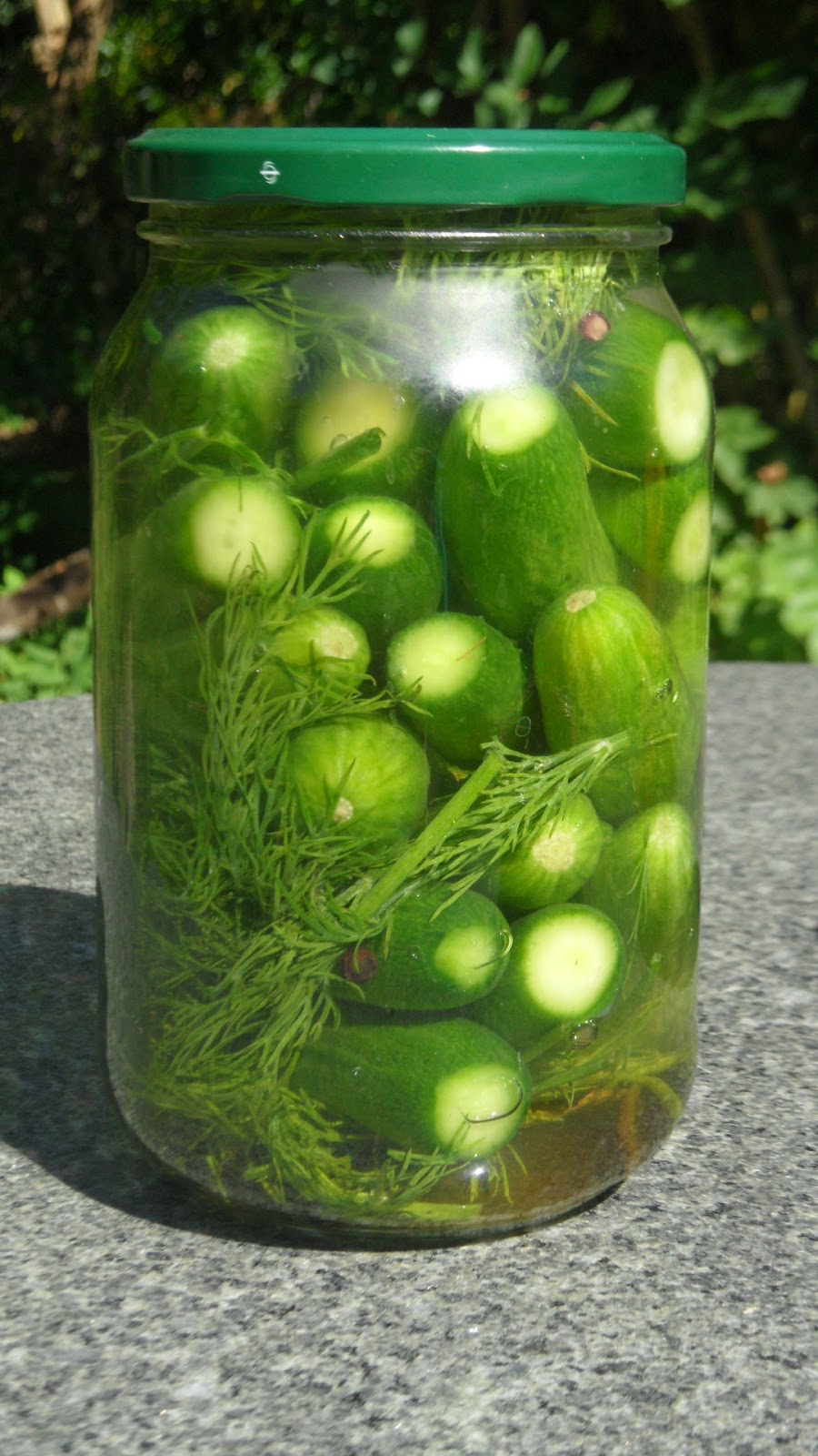 Chez Maximka Best ever pickled baby cucumbers