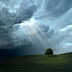 iPad Nature Wallpaper