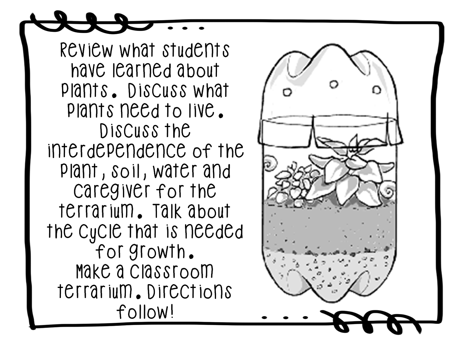 First Grade Wow Terrific Terrariums!