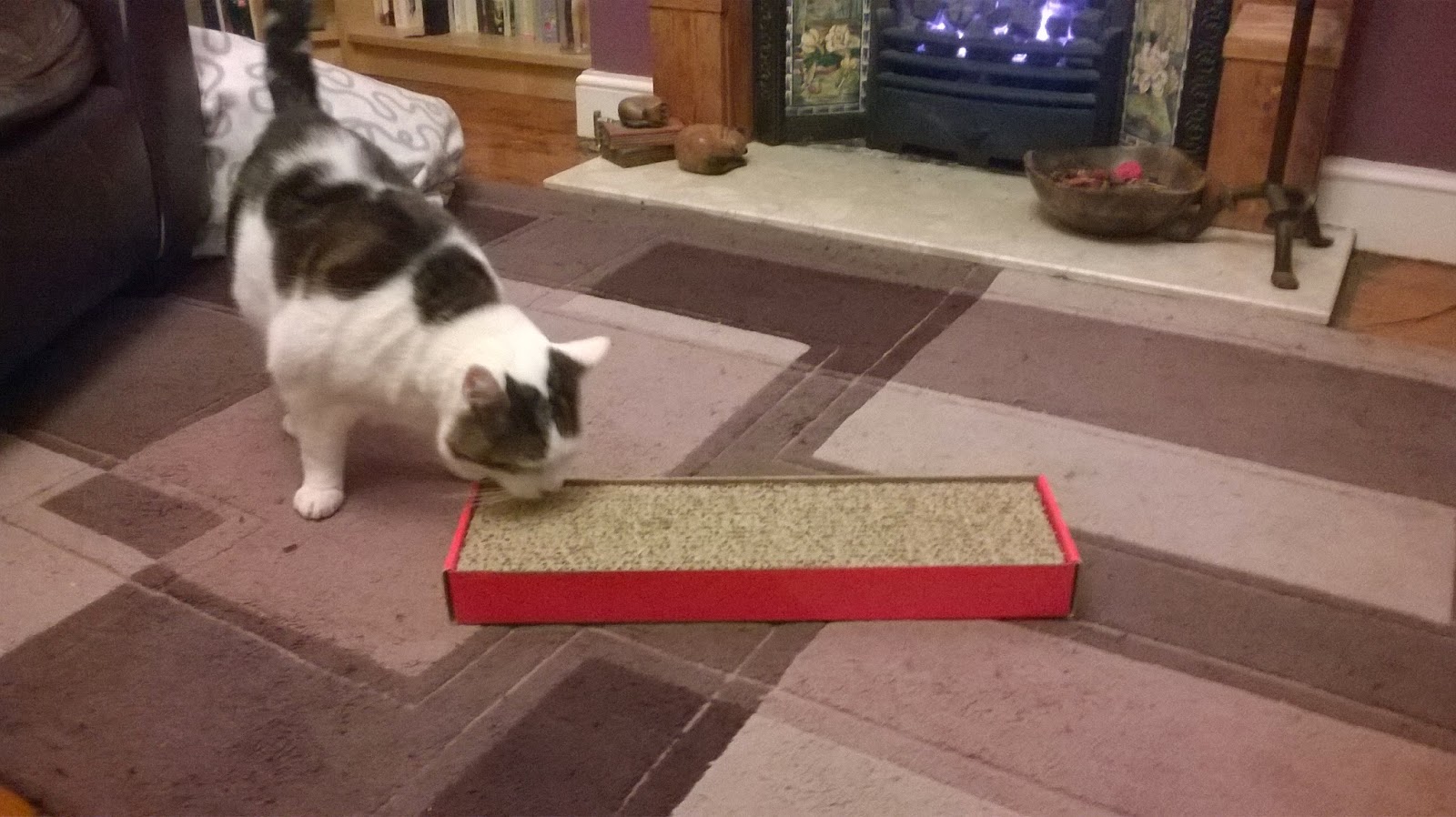 petface cat scratcher