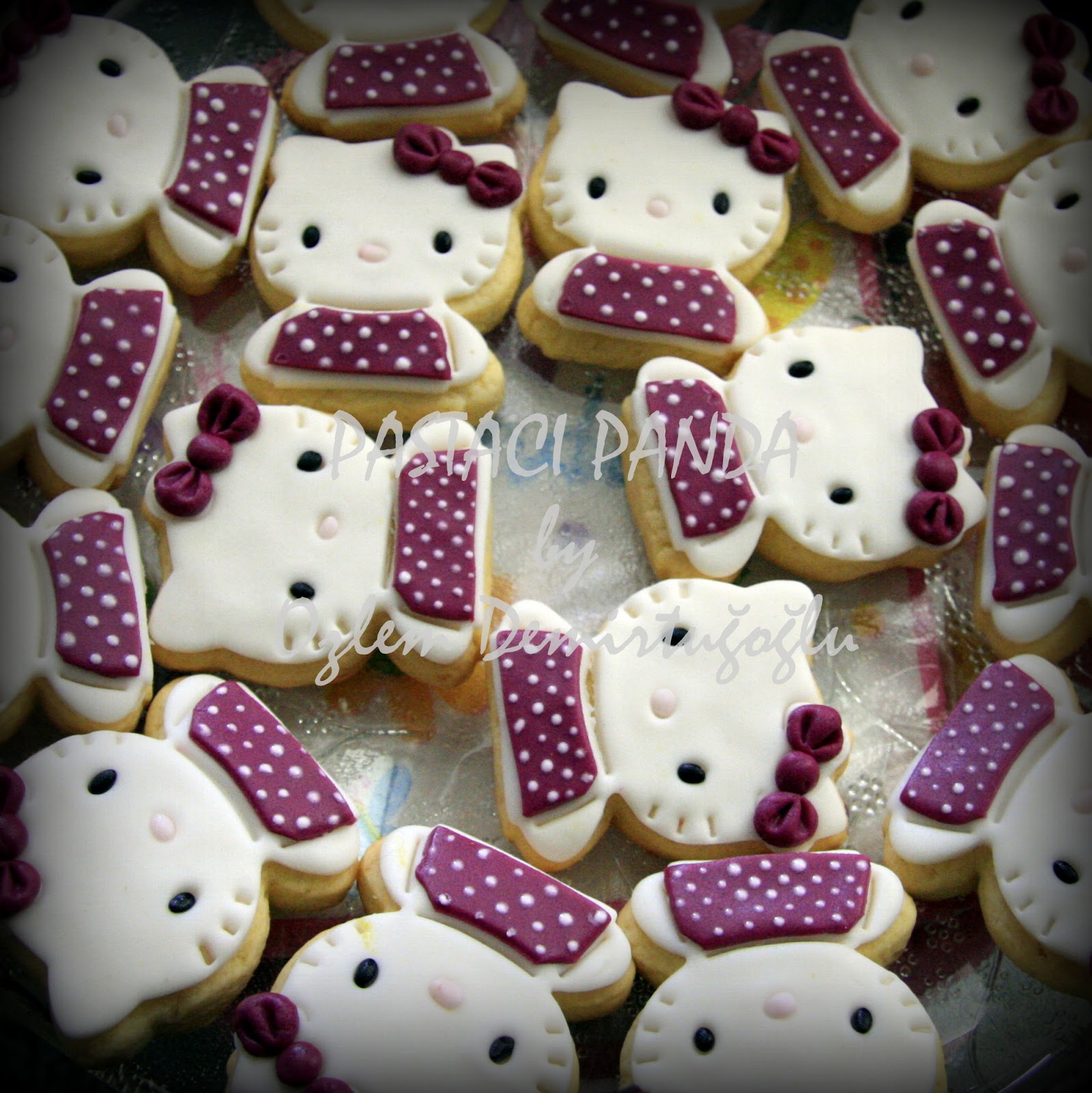 PASTACI PANDA