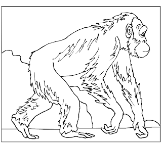 animal coloring pages, kids coloring pages