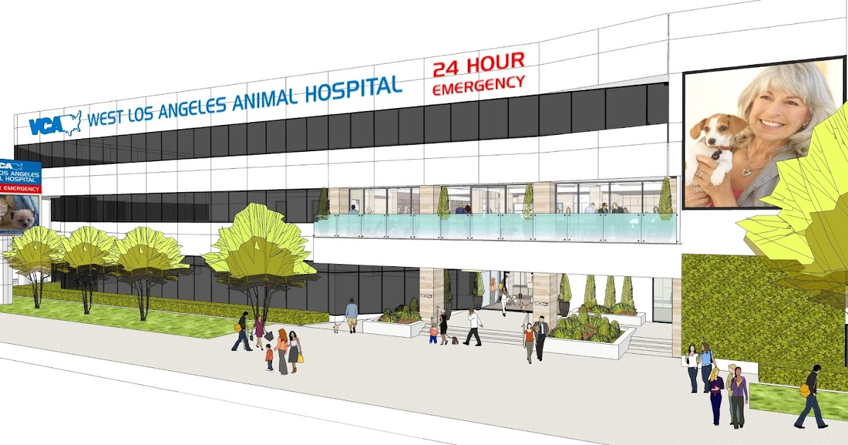 Ann Flower Communications VCA WEST LOS ANGELES TO OPEN NEW 42,000