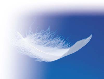 Im Gedenken An Florian Juni 2011