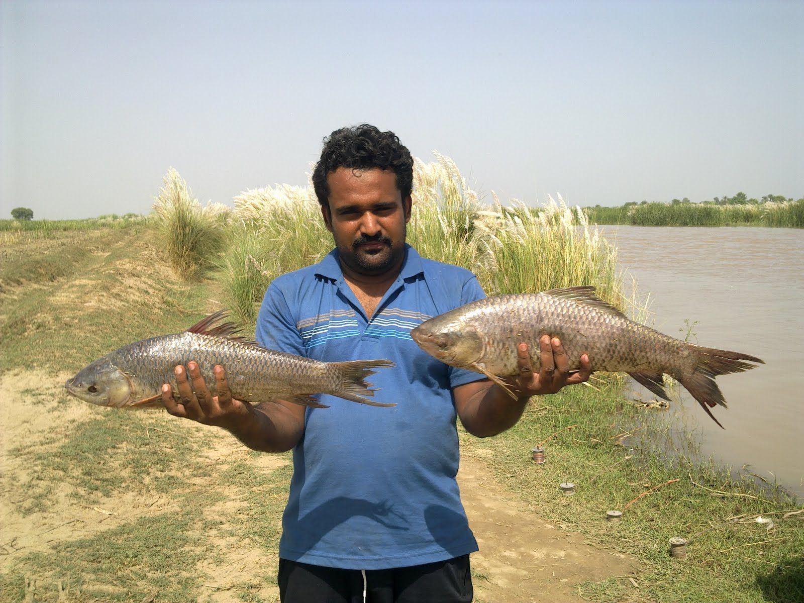 Fishing In Pakistan Malik Zeeshan (Fishing Pics)