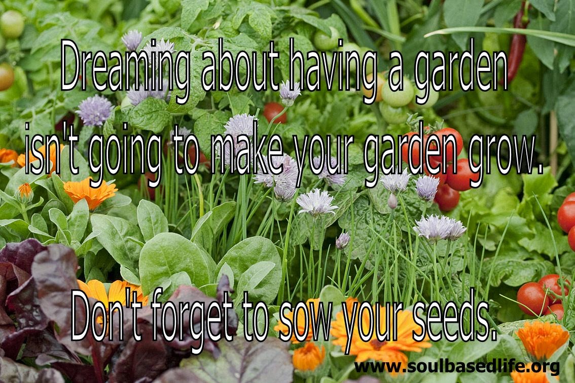 Soul Based Life Plant The Seed To Grow Your Dream