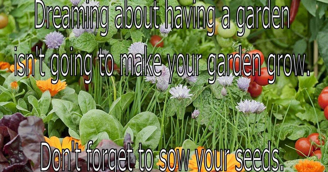 Soul Based Life Plant The Seed To Grow Your Dream