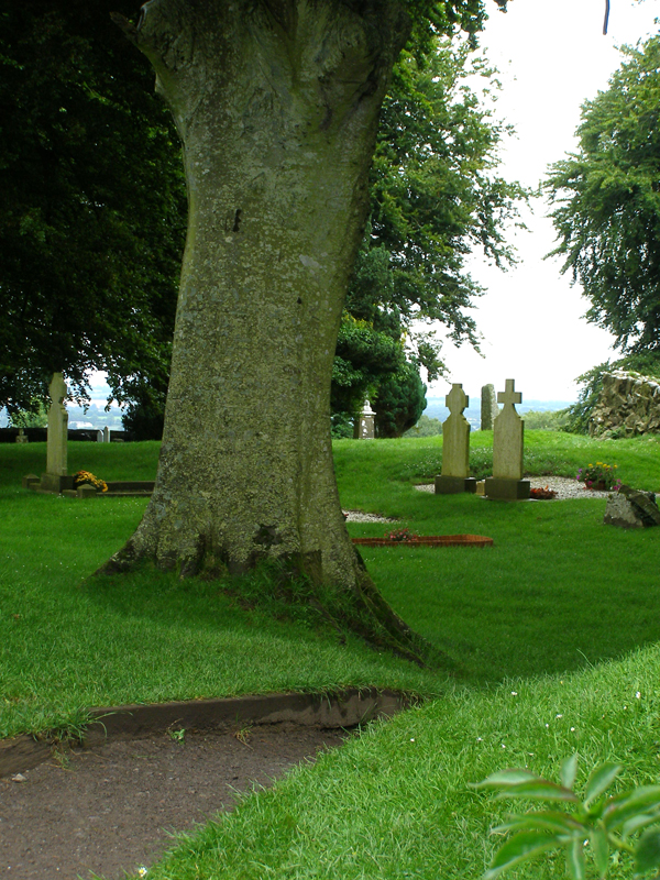 A Year With Rilke August 2011