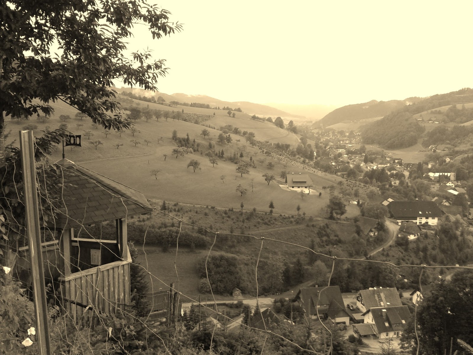 Generation Y Zu Blod Fur Die Liebe