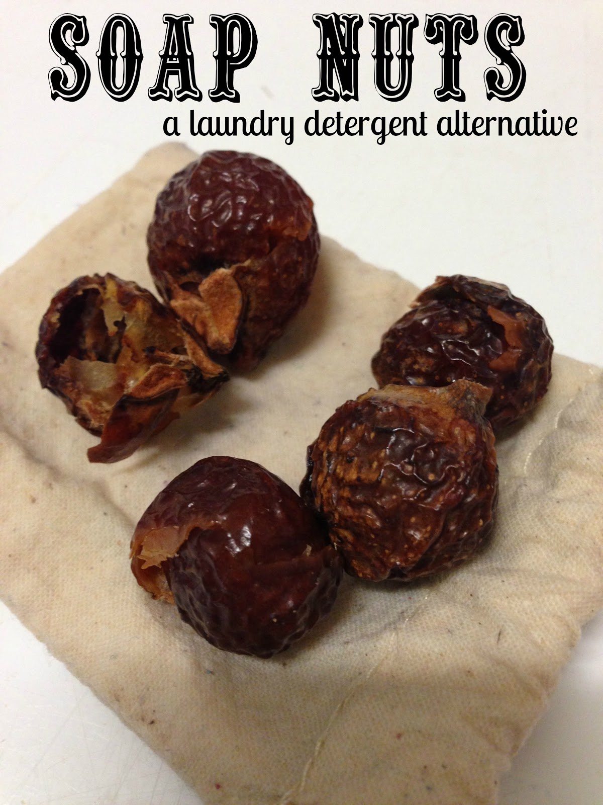 Soap Nuts {say what?}