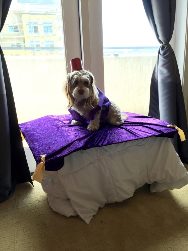 DIY Aladdin and Jasmine Costume