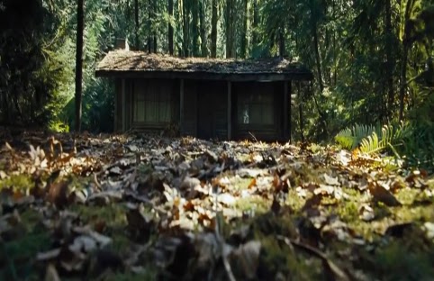 Como en botica: La cabaña en el bosque (2012)