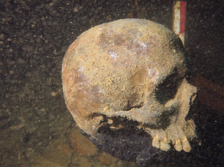Cráneo enocntrado en la isla Java, Indonesia, dentro de un submarino nazi