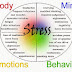 How to manage stress if you trader?