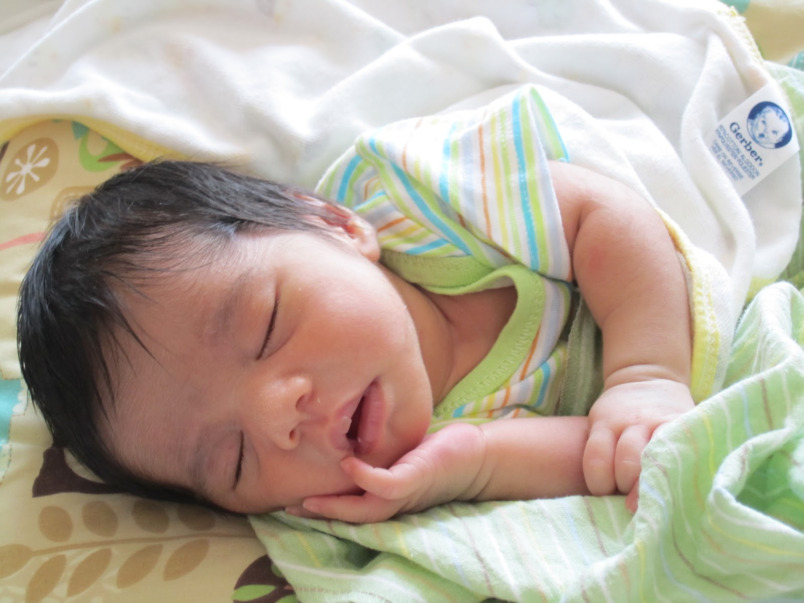 Baby through surrogacy meaning