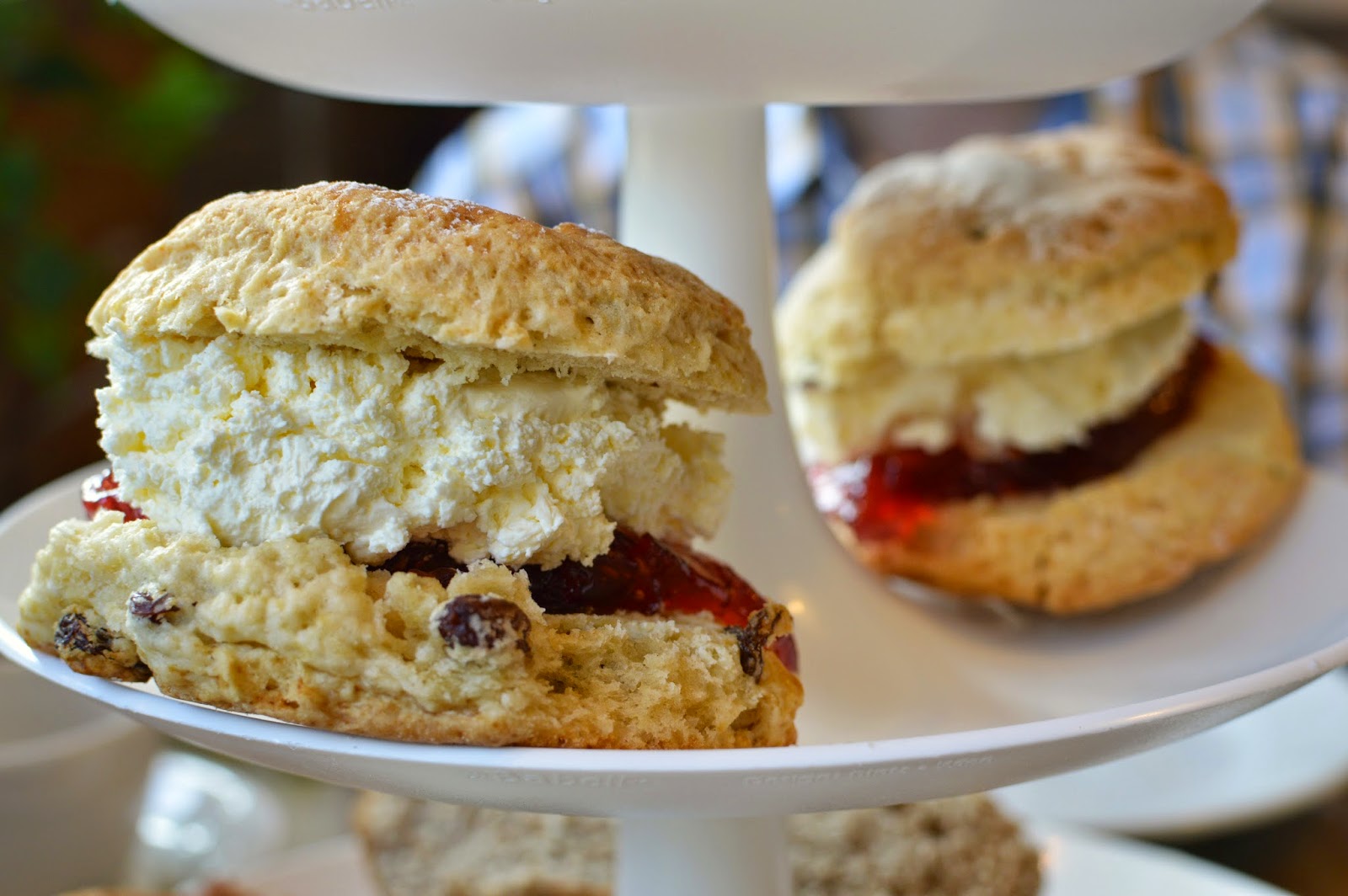 Afternoon Tea at the Running Fox, Felton | New Girl in Toon