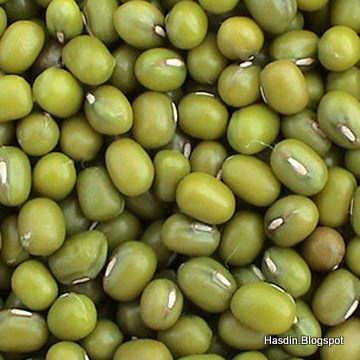 Khasiat Kacang Panjang