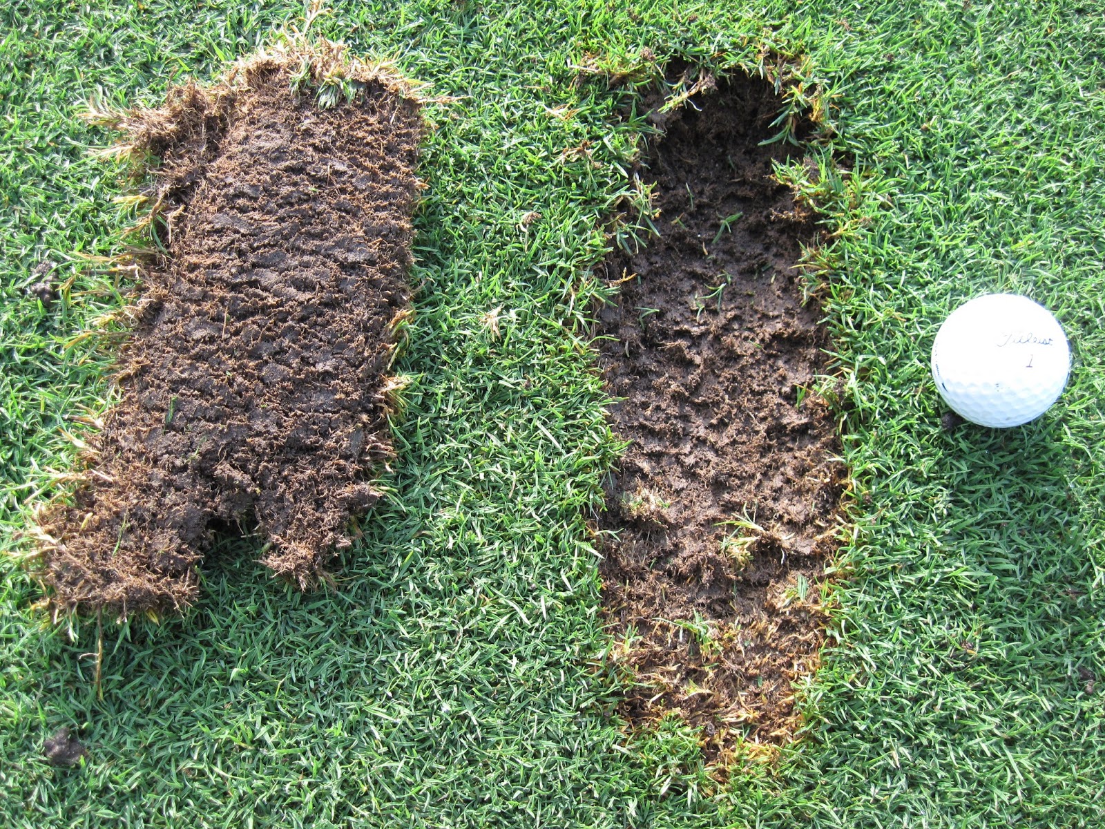 Rub of the Green A Friendly Reminder