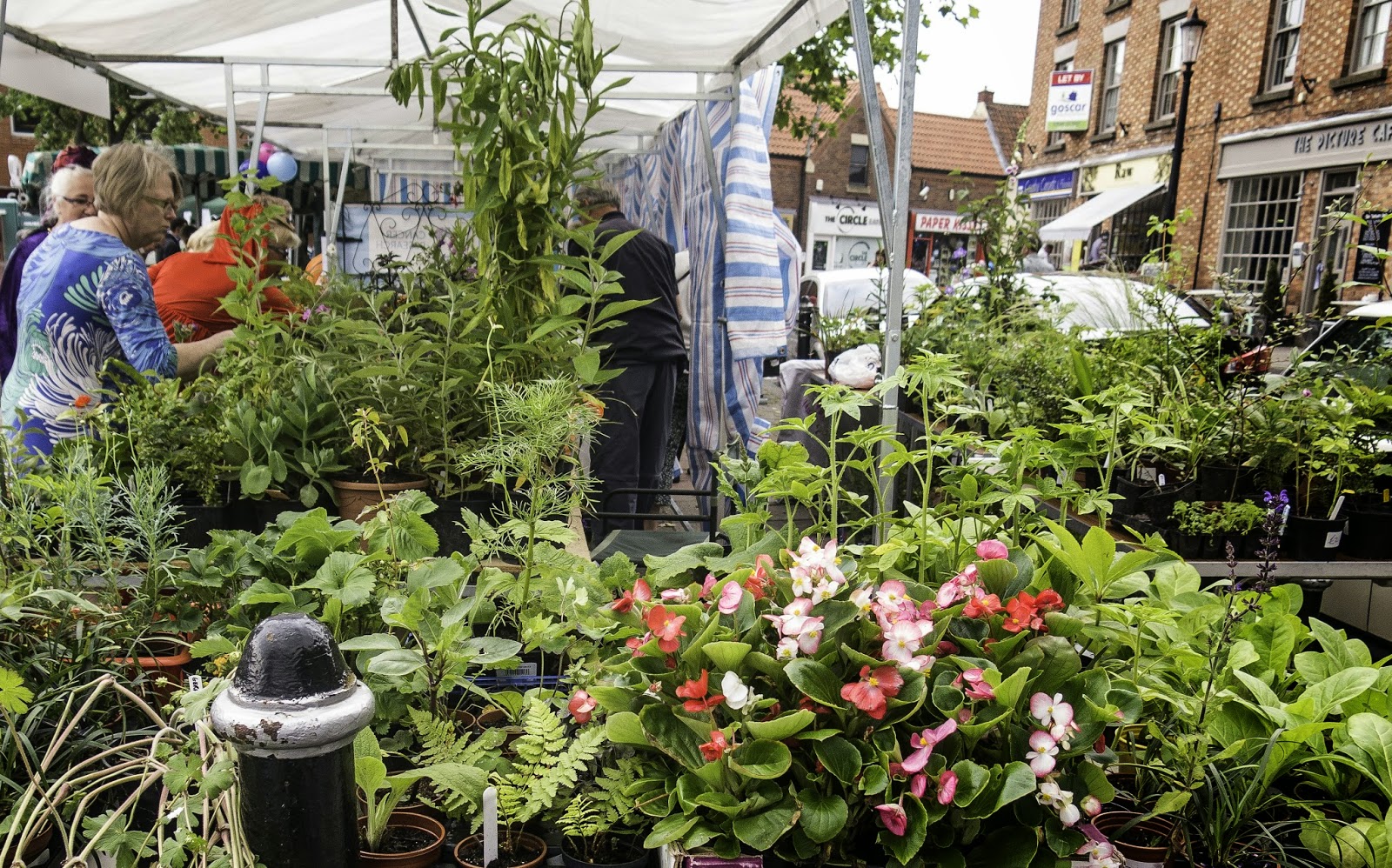 Woodlouse House Bingham Town Fair and Open Gardens