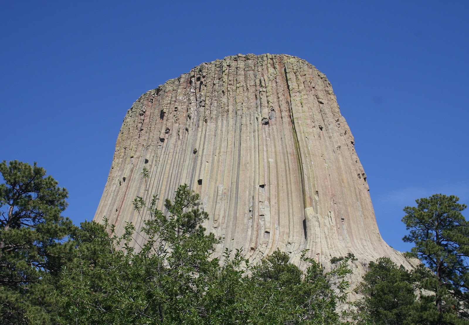 Weekly Science Quiz Devils Tower Prairie Dogs