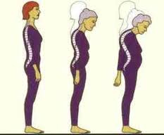 نقره لتكبير أو تصغير الصورة ونقرتين لعرض الصورة في صفحة مستقلة بحجمها الطبيعي