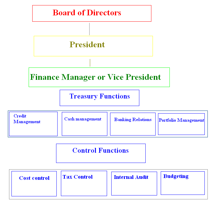 Place of Financial Management in Organization Structure Education