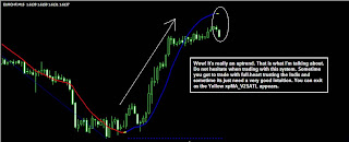 forex trading system