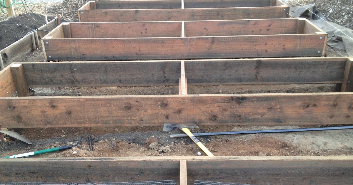 Brindavan in the Bay Area: More raised beds