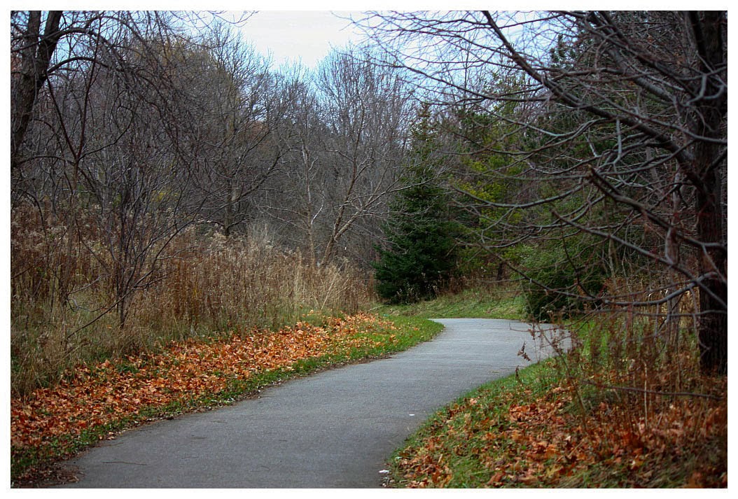 Mishy's Corner of the World L'Amoreaux Park