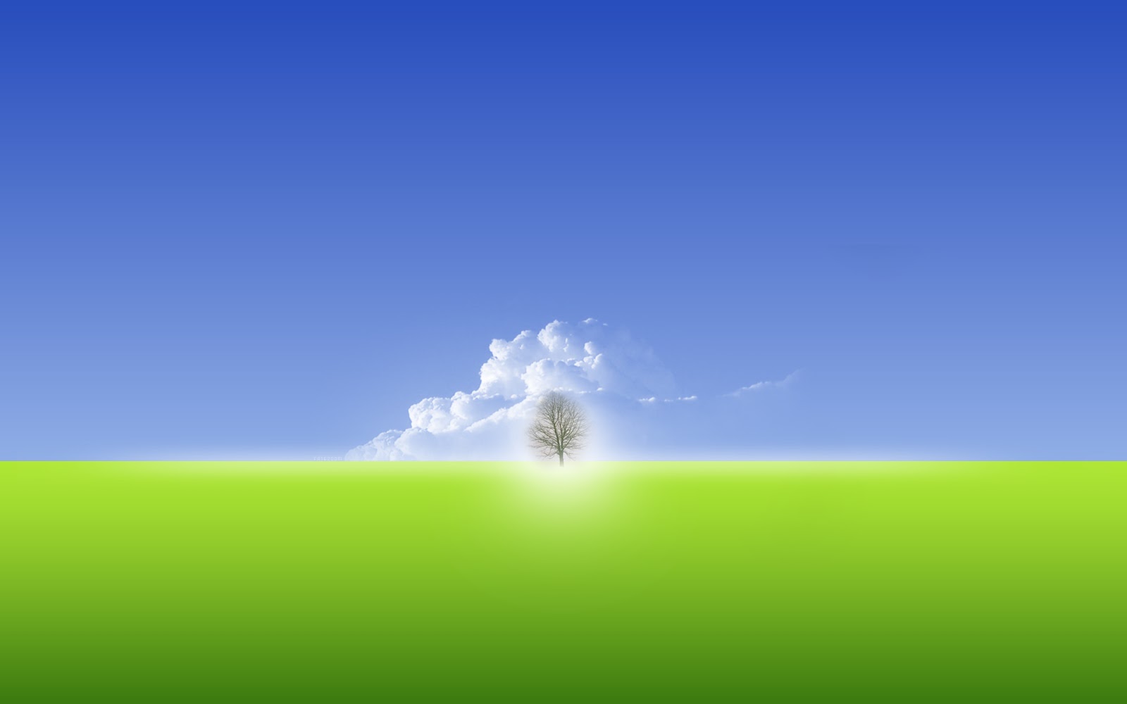 Wallpapers HD 47 Wallpapers de Arboles, naturaleza