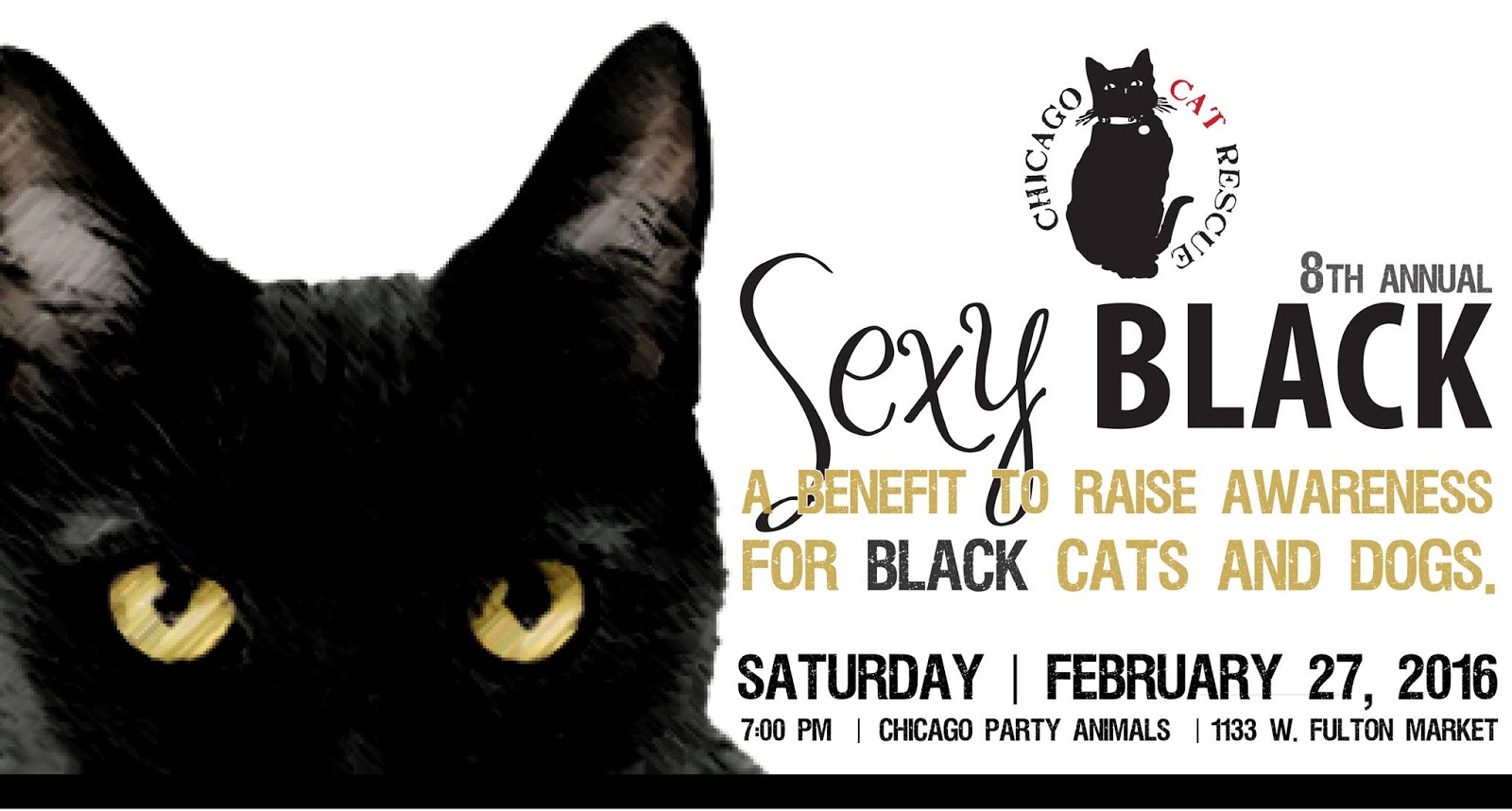 Black Cats Low Adoption Rate Black Cats Low Adoption Rate