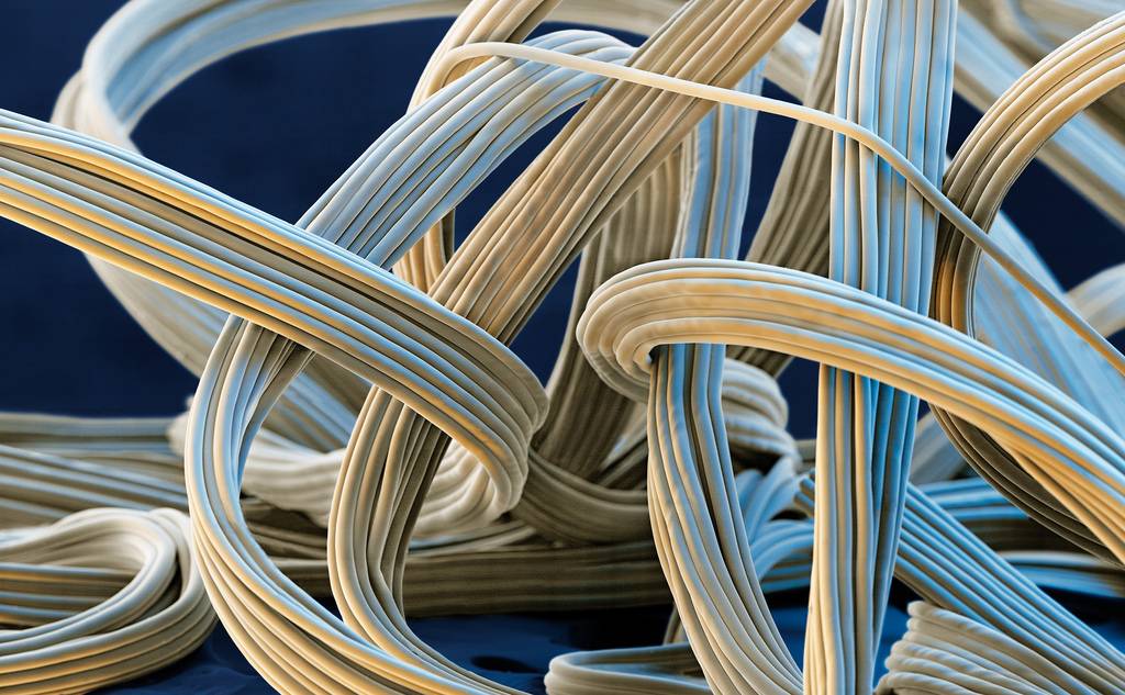Spandex fibers. (credit BASF) Microscopic photography, Electron