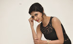Naveena Glam pics at Ice cream 2 Press meet-thumbnail