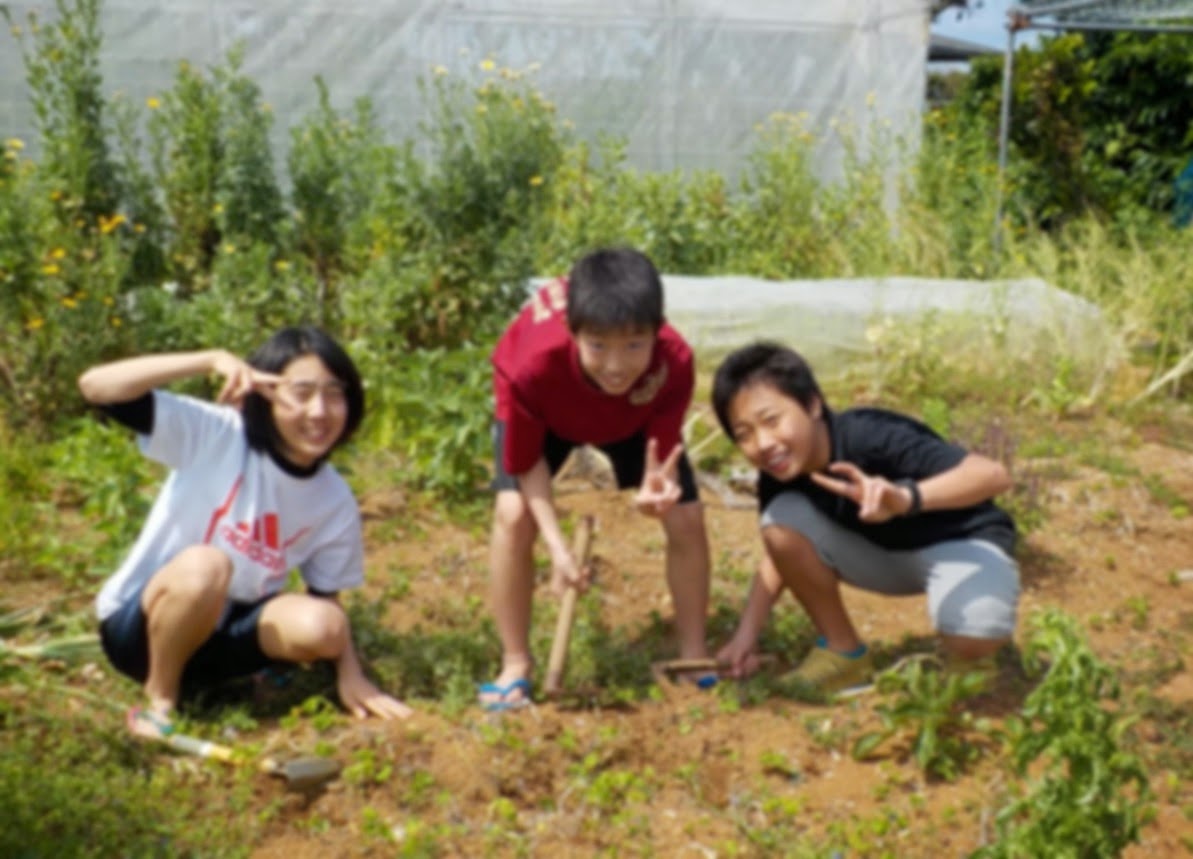 久高島留学センター 畑仕事
