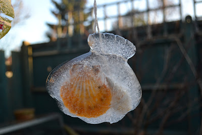 shell in ice scultpture