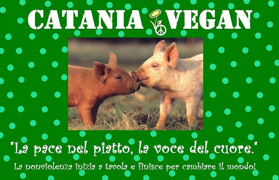 Catania Vegan