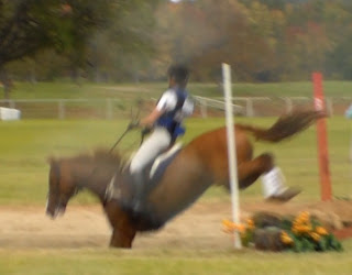 guest_blog_12_bad_eventer_gets_fifth_place_at_her_first_intermediate_event_