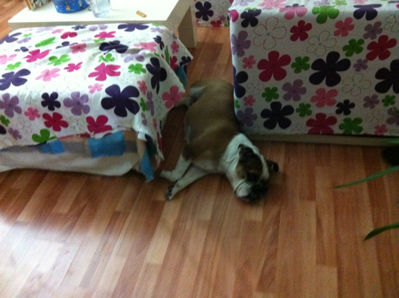 Giydirme koltuk kılıfı