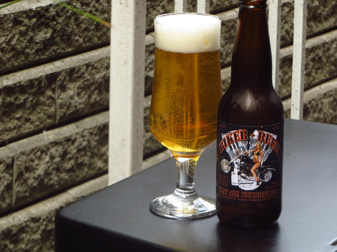 The World of Gord Beer of the Week Biker Beer Lager