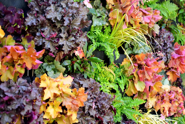 Designer Brandon Pruett uses Florafelt Vertical Garden Systems - PlantsOnWalls.com