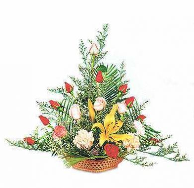 Cac+Mau+Cam+Hoa+Nghe+Thuat Cac Mau Cam Hoa Nghe Thuat http://www.cungtuvan.com/tag/nghe-thuat-cam ...