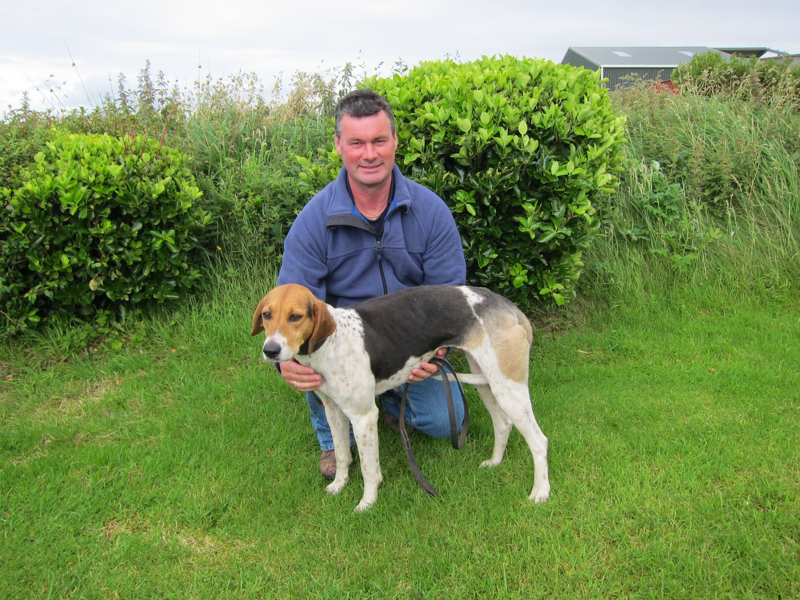 kerry beagle association