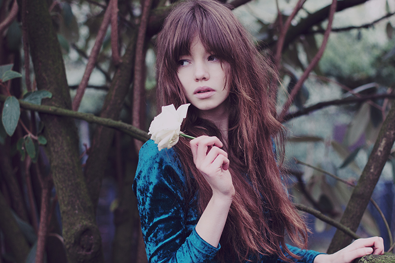 [verlinkte Grafik wurde nicht gefunden]