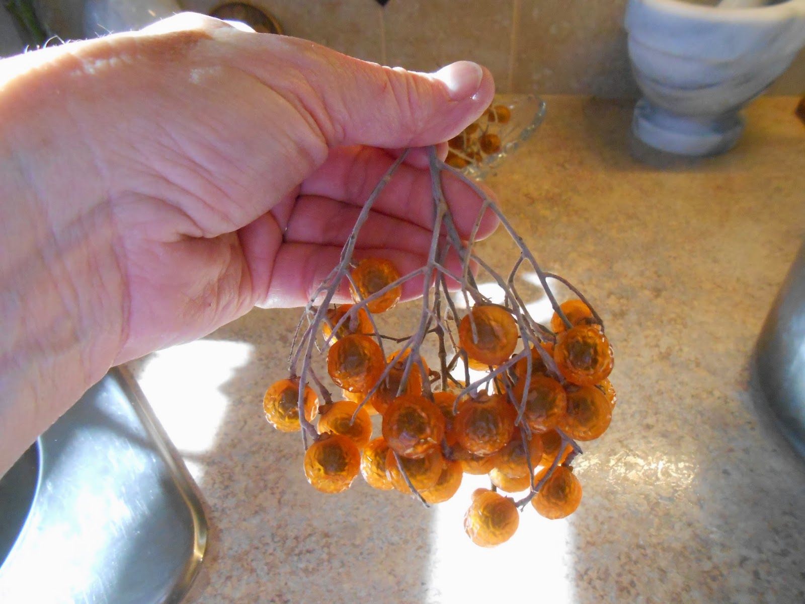 Windy Acres Diary Soapberries