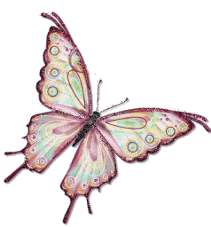 Animation Bundle Butterfly Animation Butterfly Gif Butterfly Clipart Where They Are Doing Their Moving Butterfly For Powerpoint