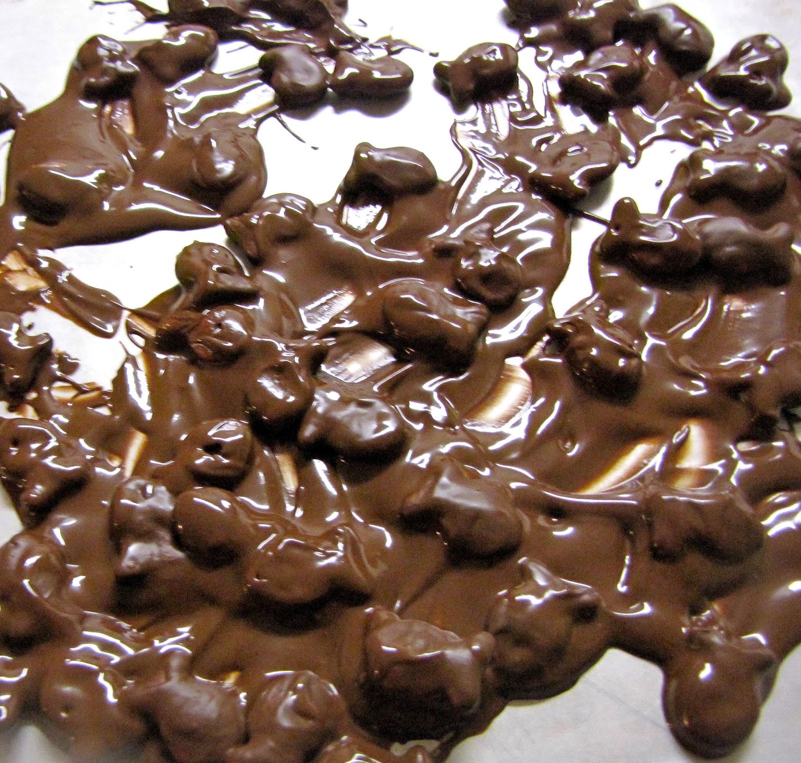The ChocoAholic Chocolate Covered Goldfish