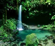 Morne Trois Pitons National Park Morne Trois Pitons National Park Dominca