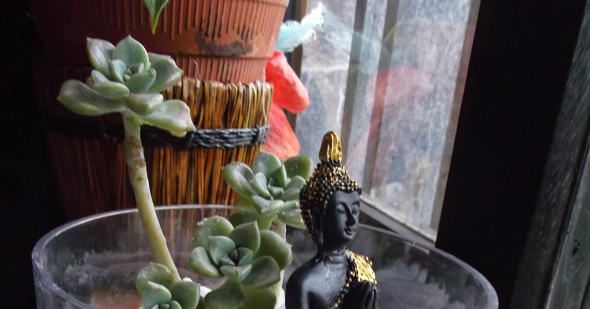 DIY EASY BUDDHA DECORATION So Fucking Glamorous